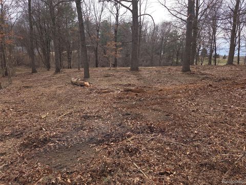 6323 Cohoctah Road Deerfield Township MI 48430