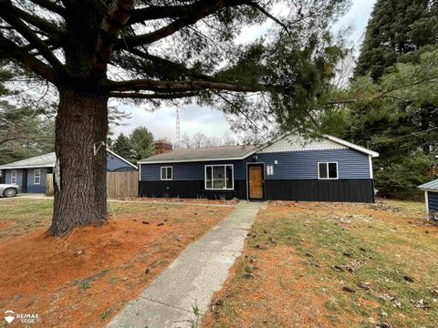 494 W Barnes Lake Road Deerfield Township MI 48421