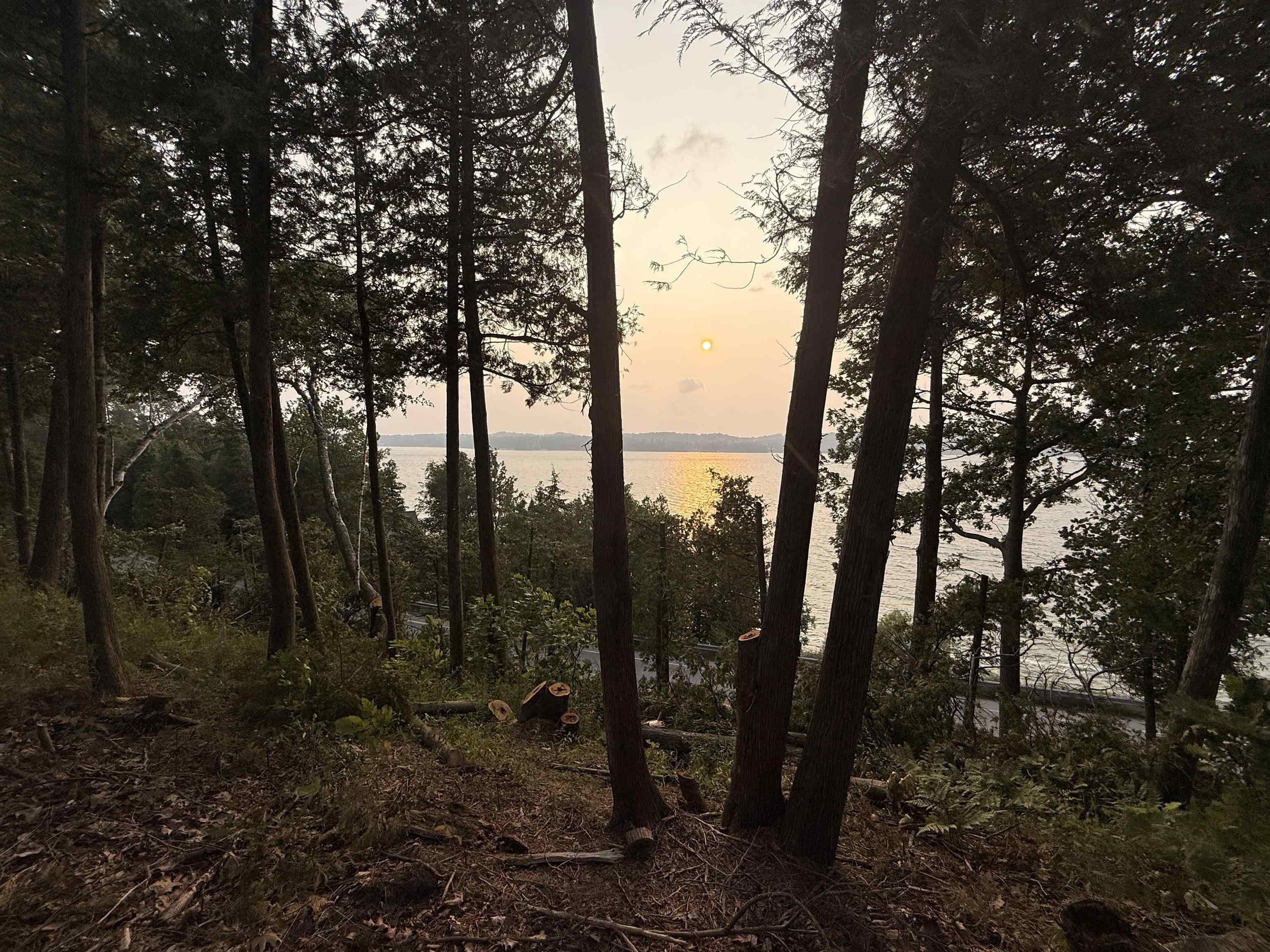 Lot 30 & 31 N Lake Leelanau Drive