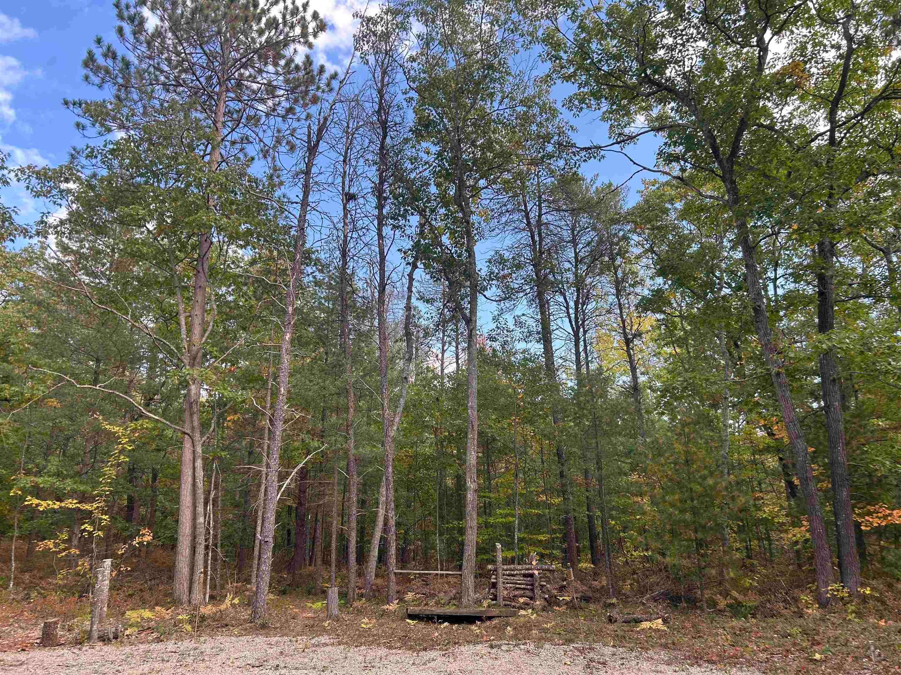 7335 Camp Road