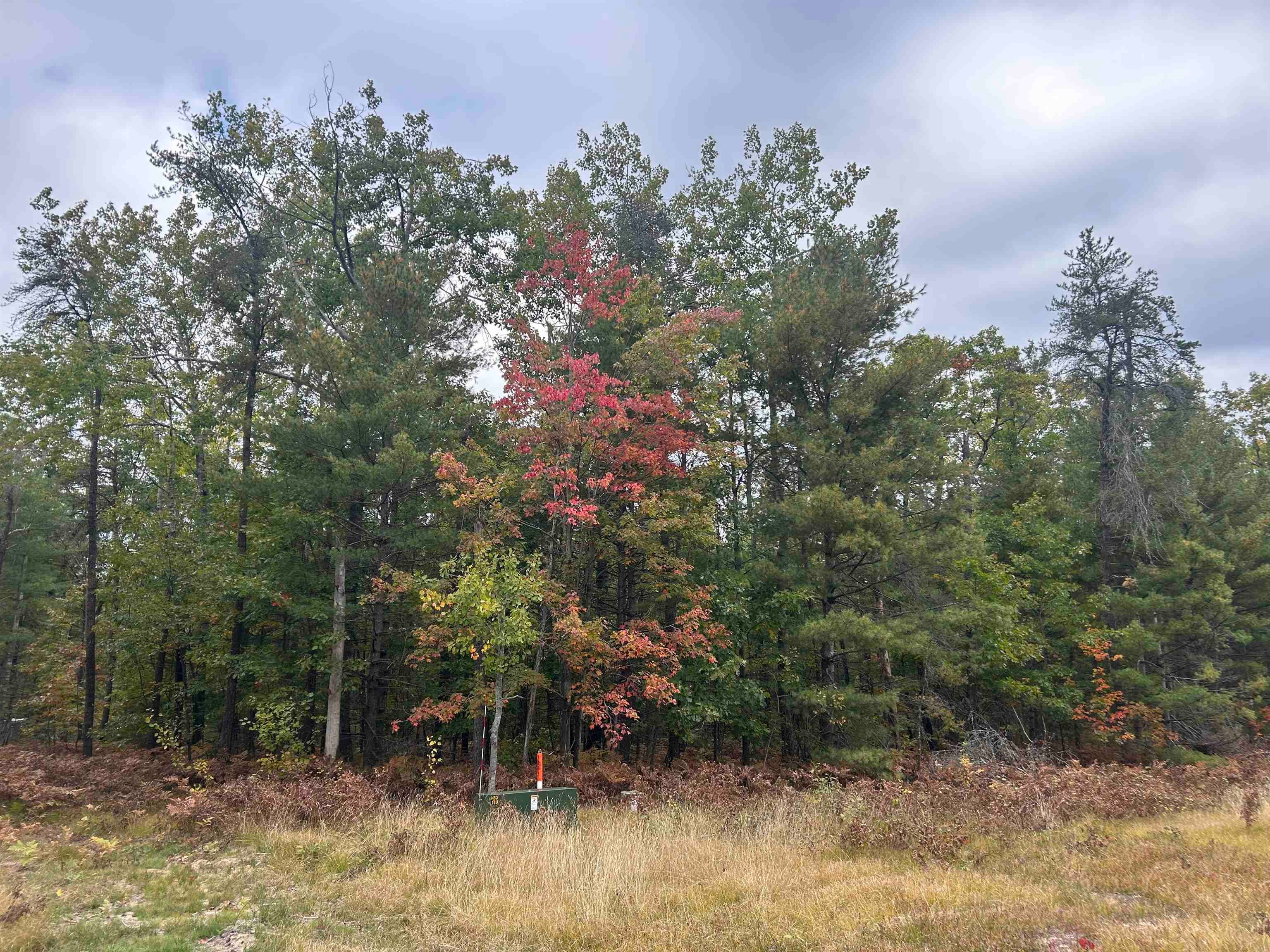 7335 Camp Road
