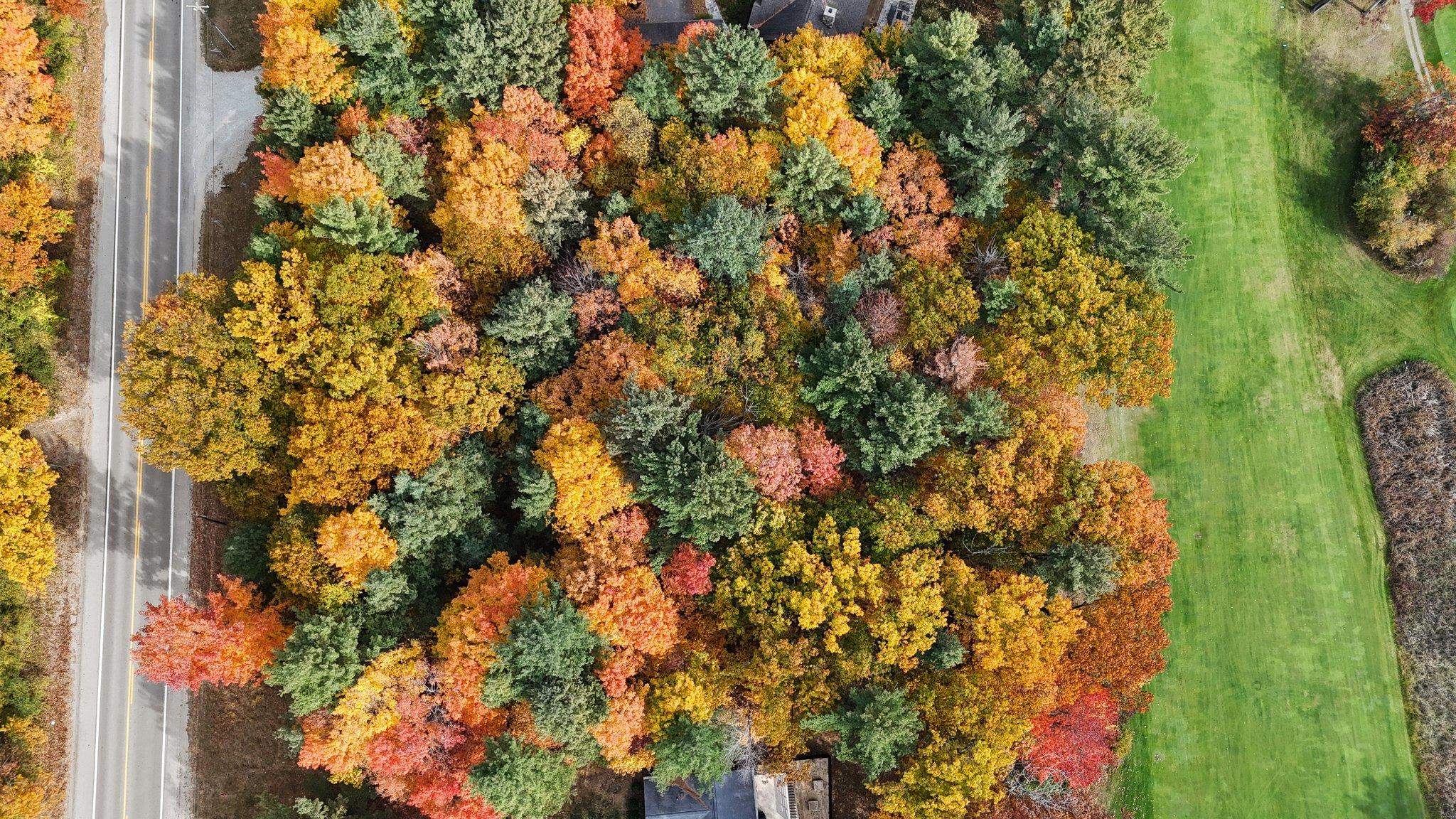 Lot 11 N Country Club