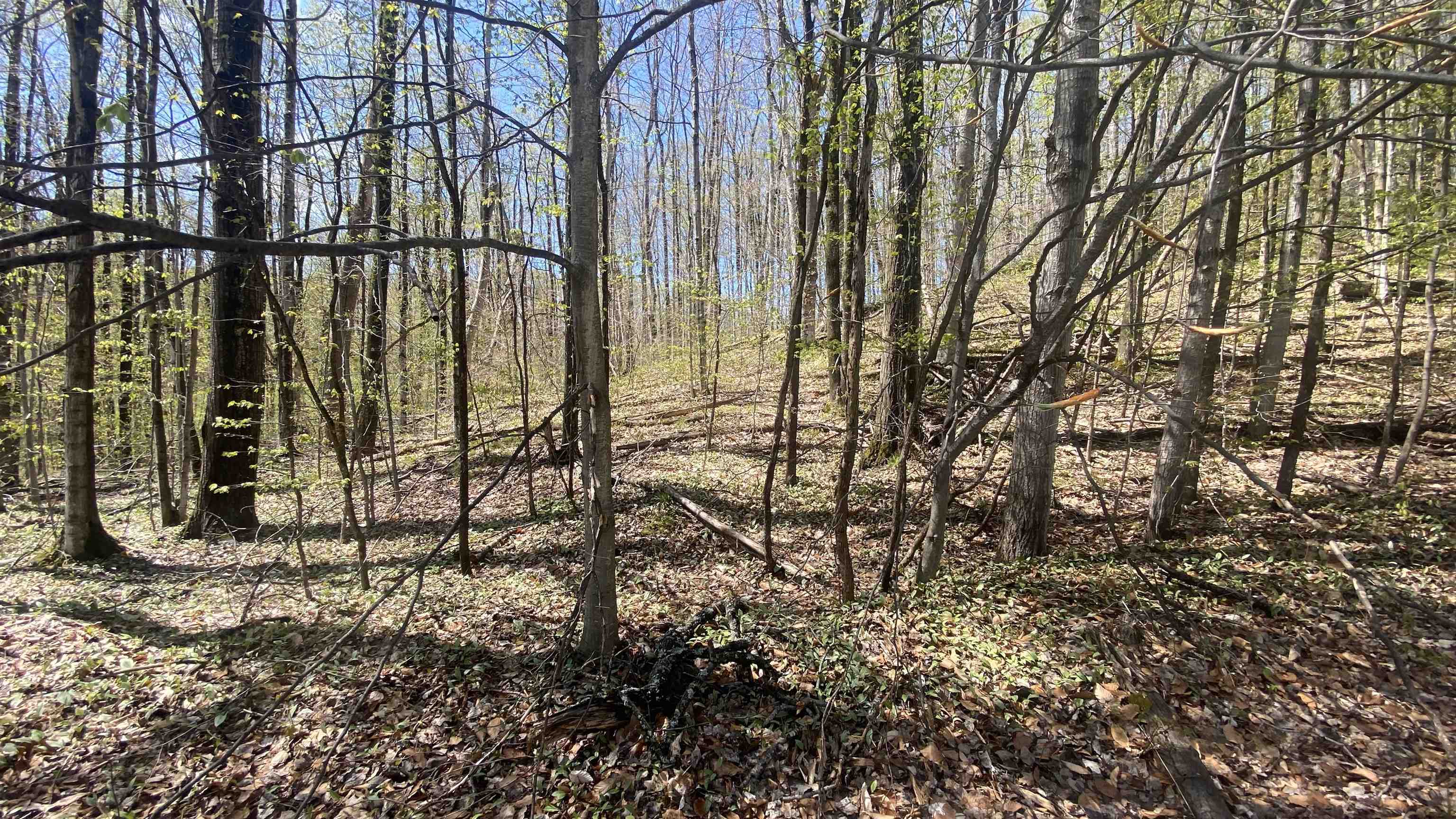 Lot 105-106 East Village Drive