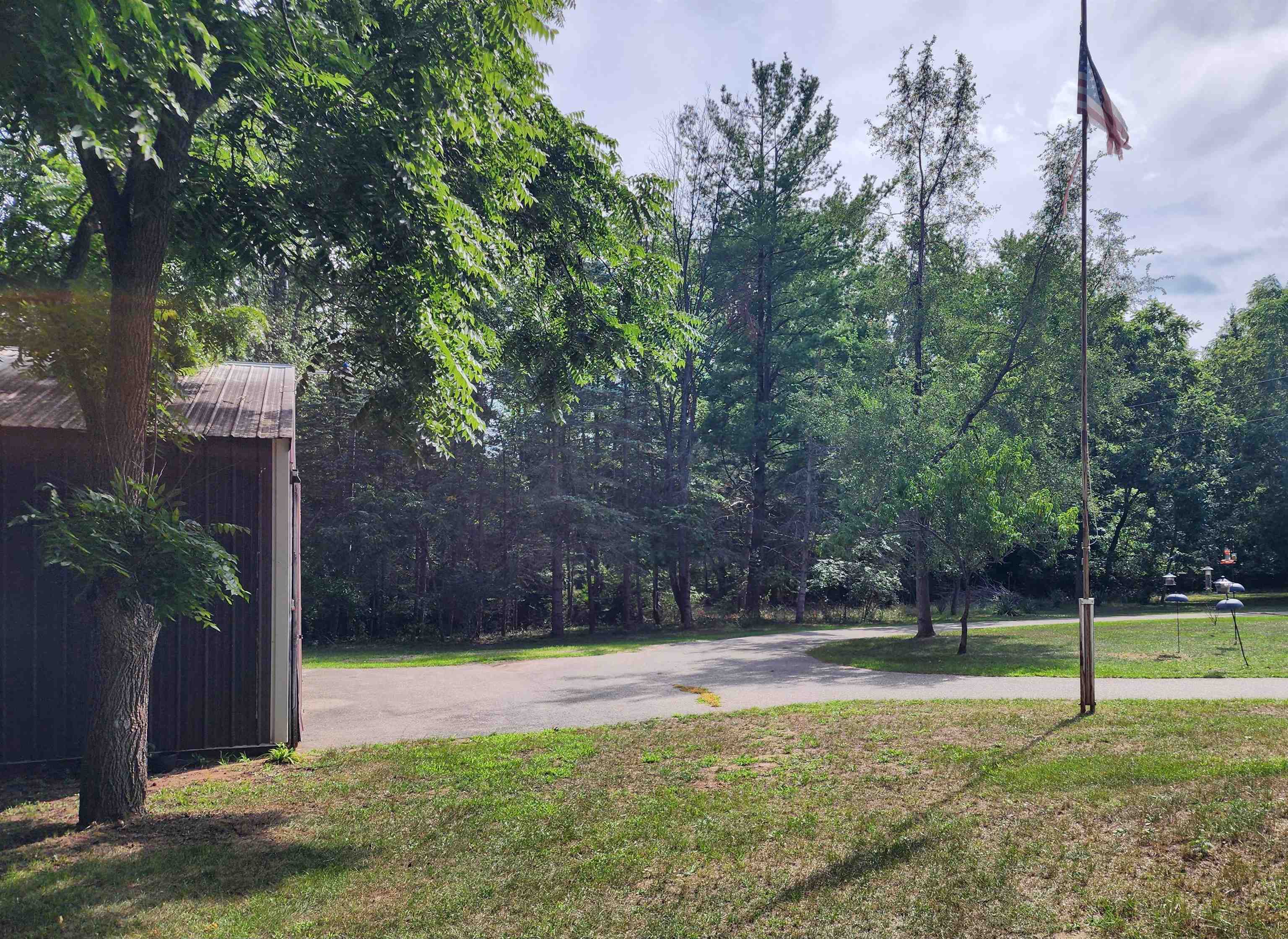 3560 Pine Tree