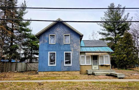 53 E Pearl Street Coldwater City MI 49036