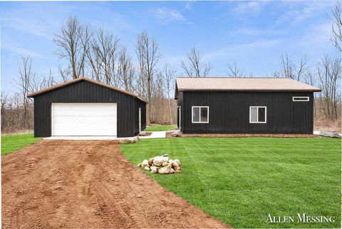 3708 Pine Lane Boston Township MI 48881