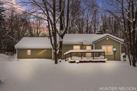 2627 N Evergreen Drive Wilcox Township MI 49349