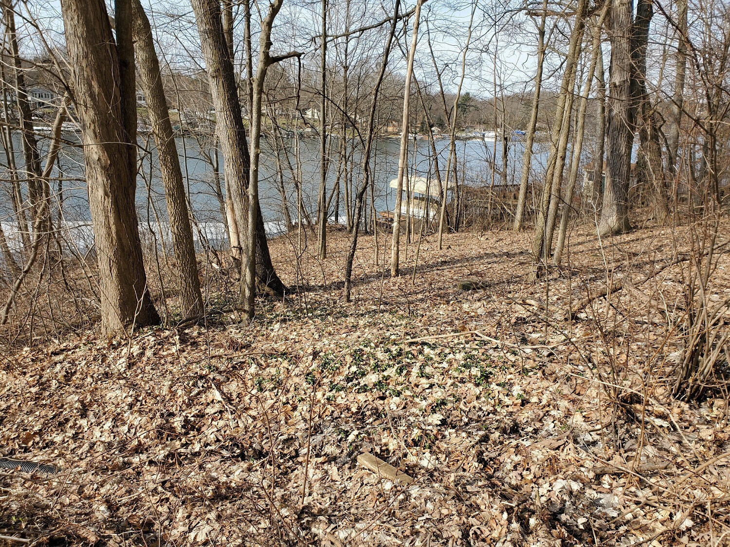 7174 Cascade Road SE