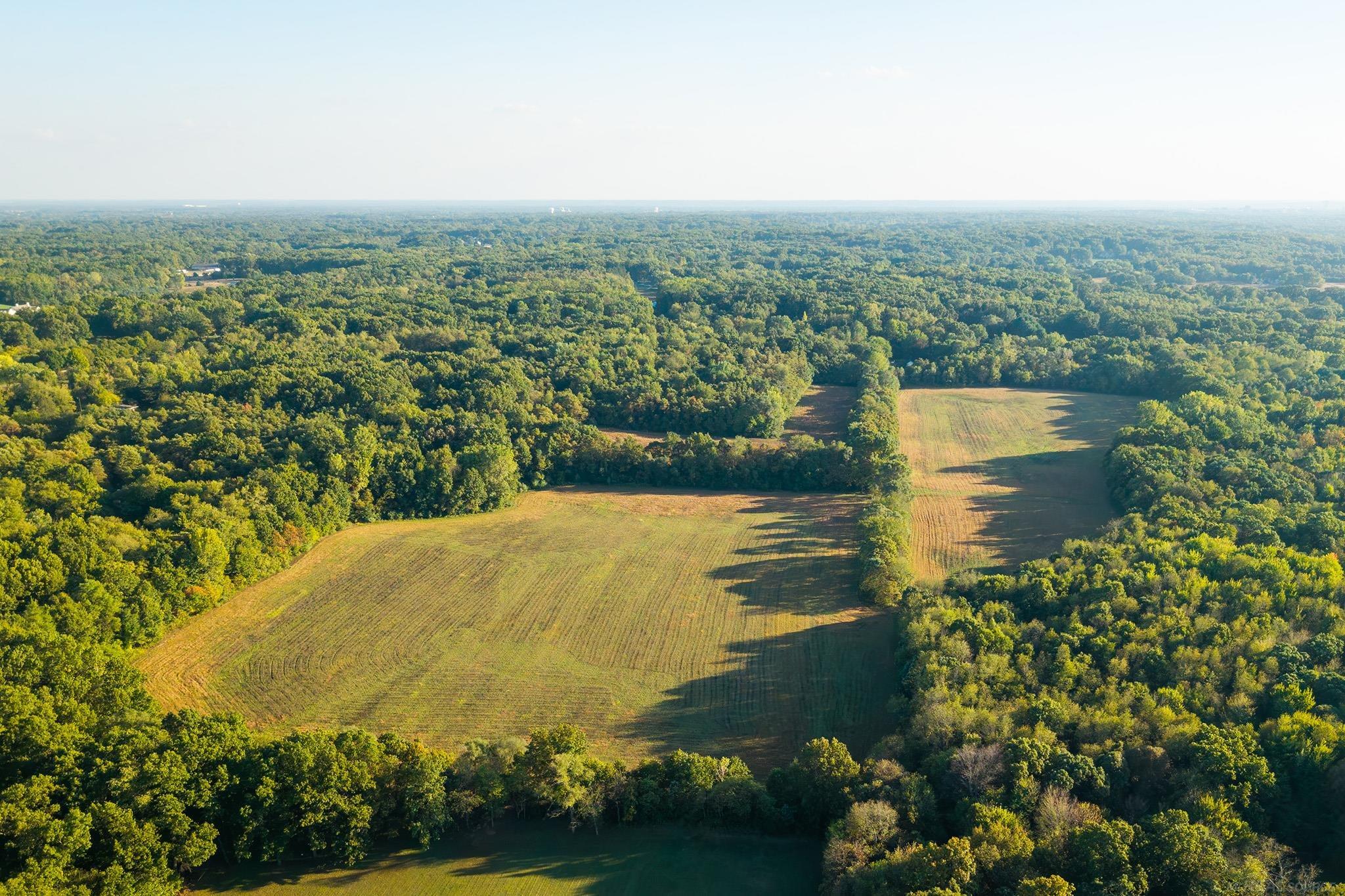 32898 Bertrand Street