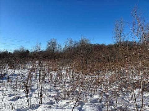 13 Single Tree Circle Dryden Township MI 48428