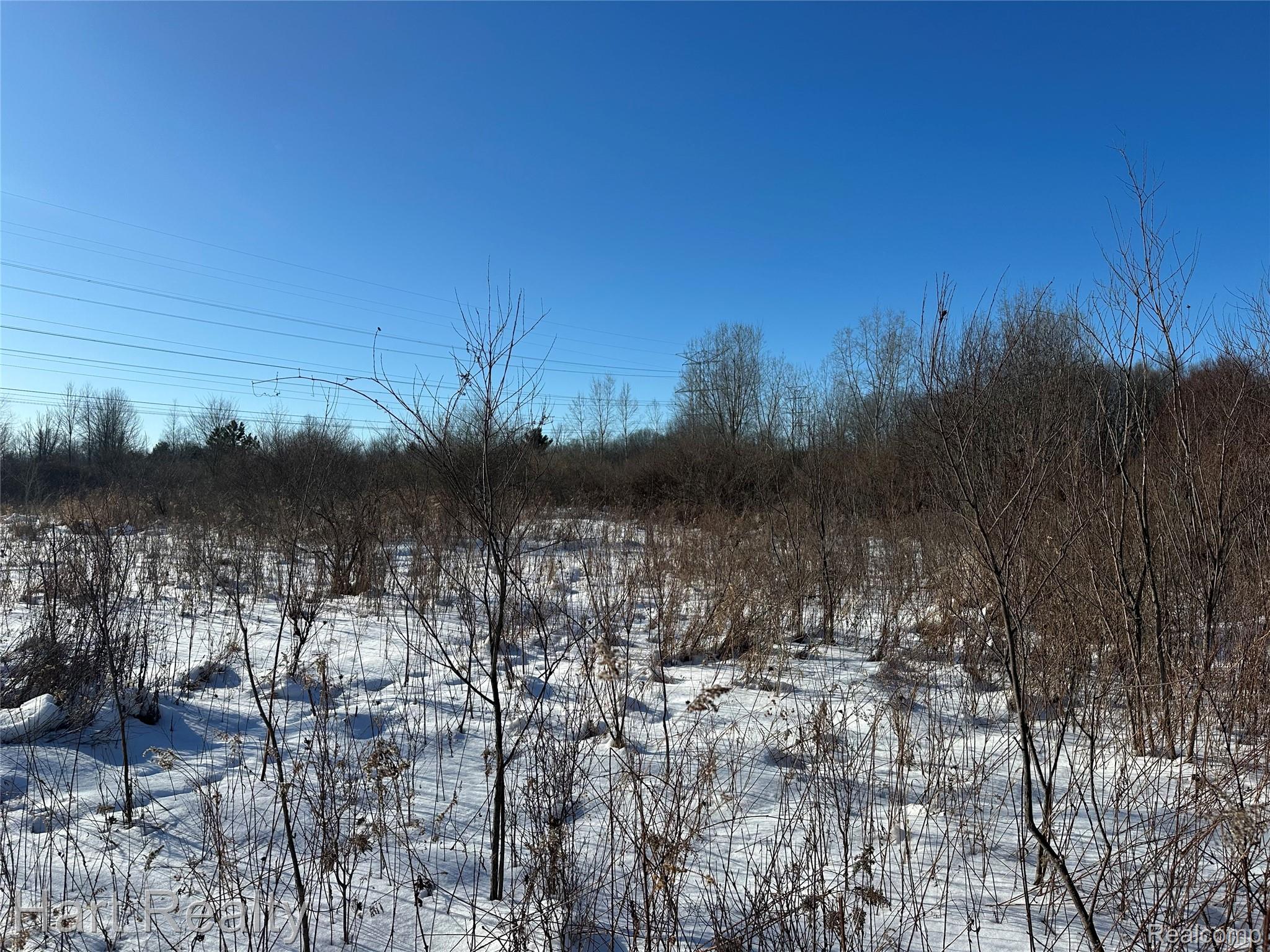 13 Single Tree Circle