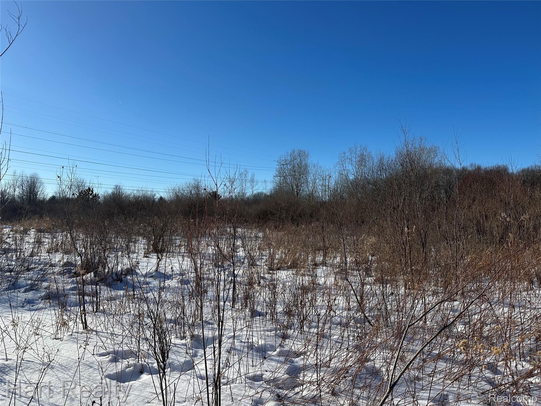 13 Single Tree Circle