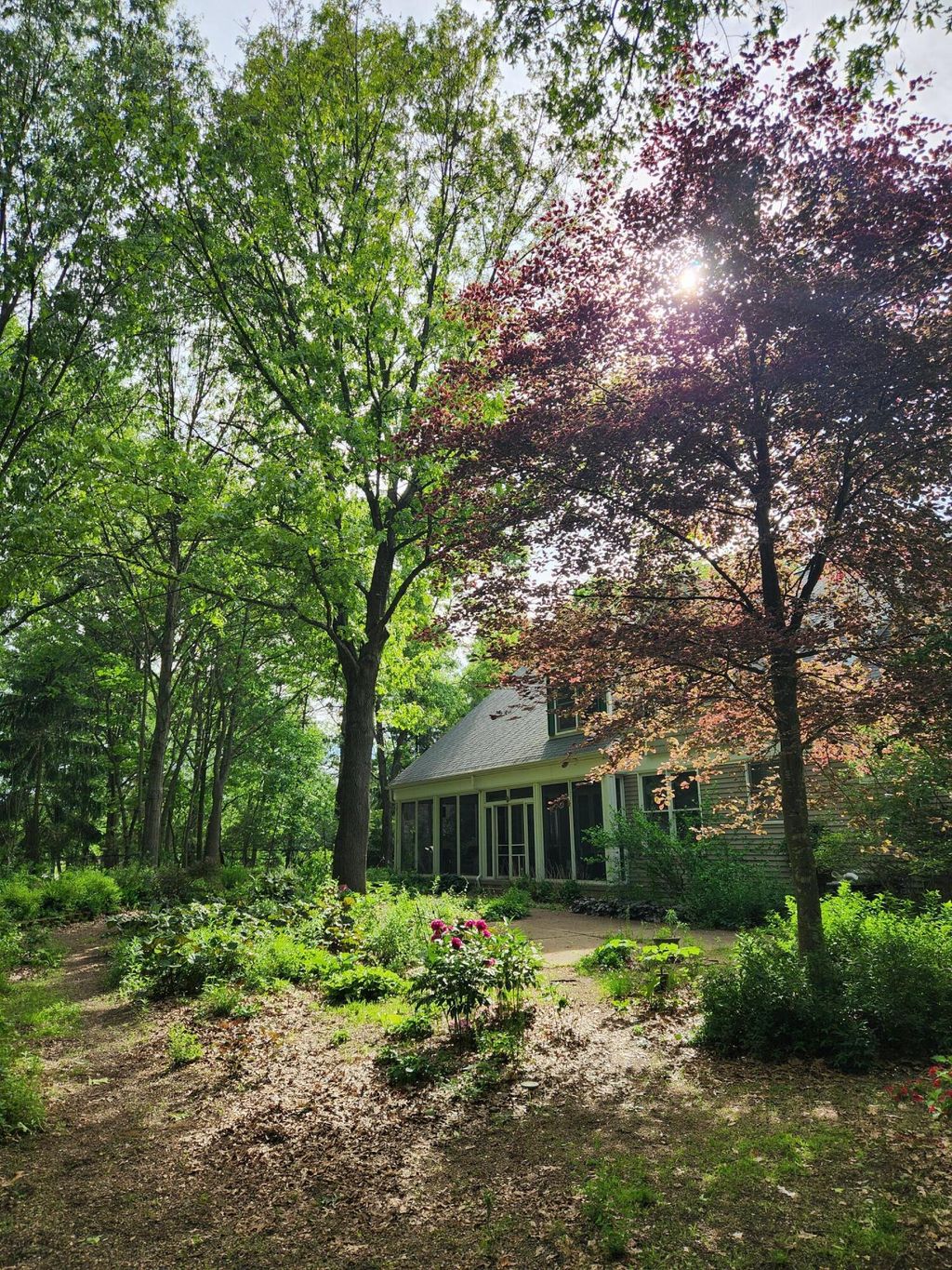 listing image 42