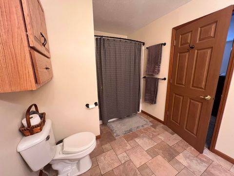 A home in ReadingTownship_Hillsdale