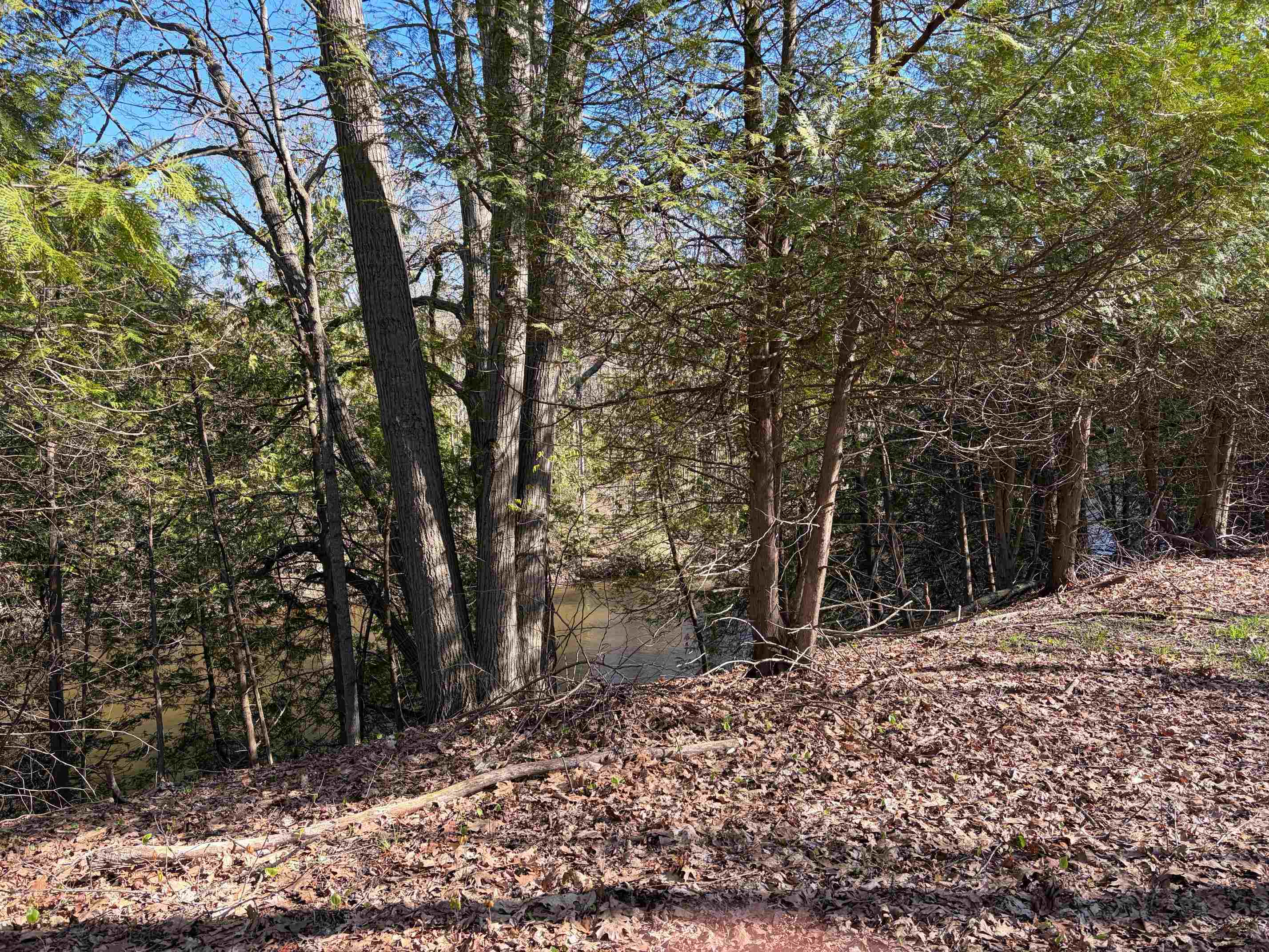 TBD S Loomis Road