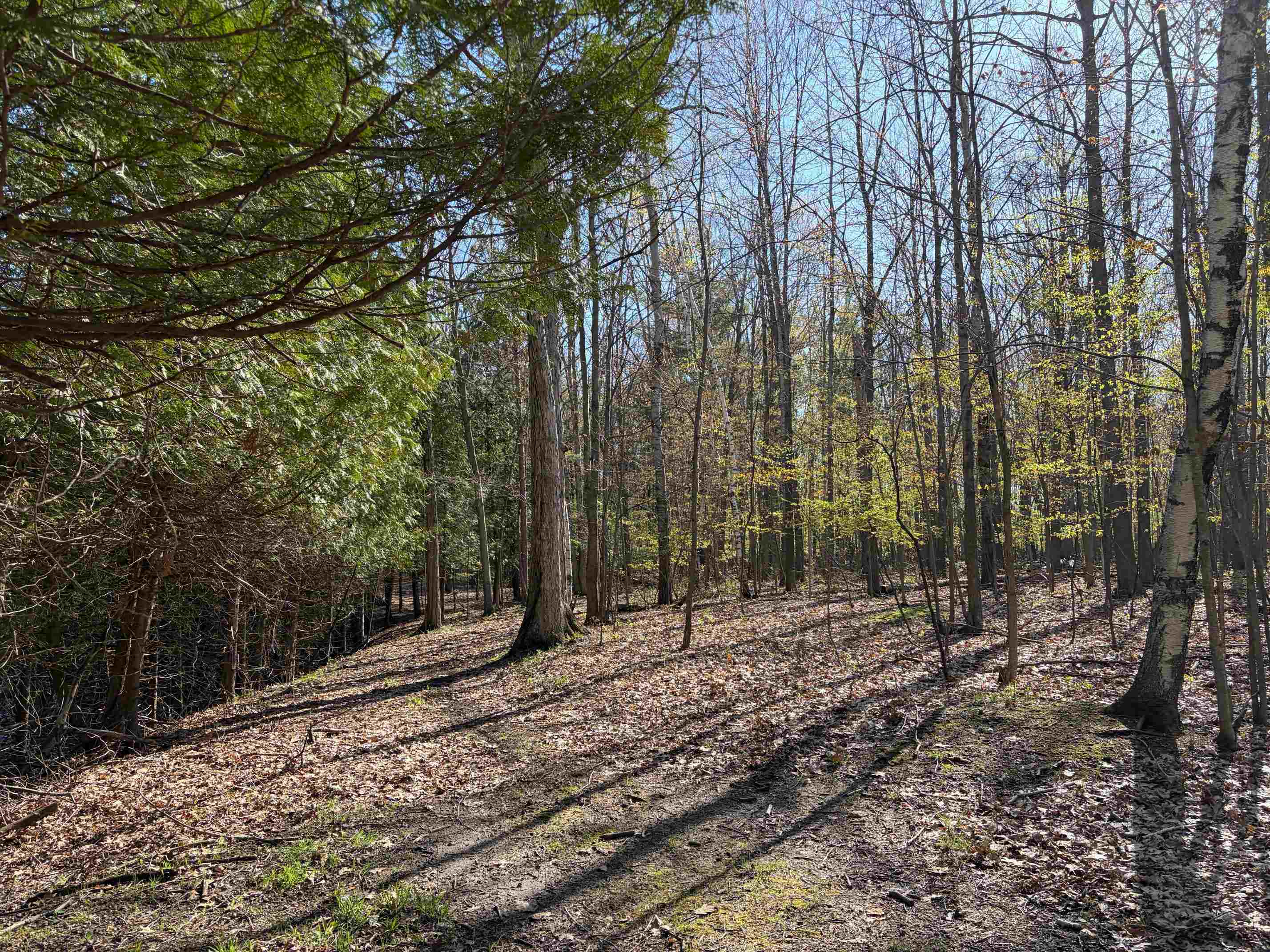 TBD S Loomis Road