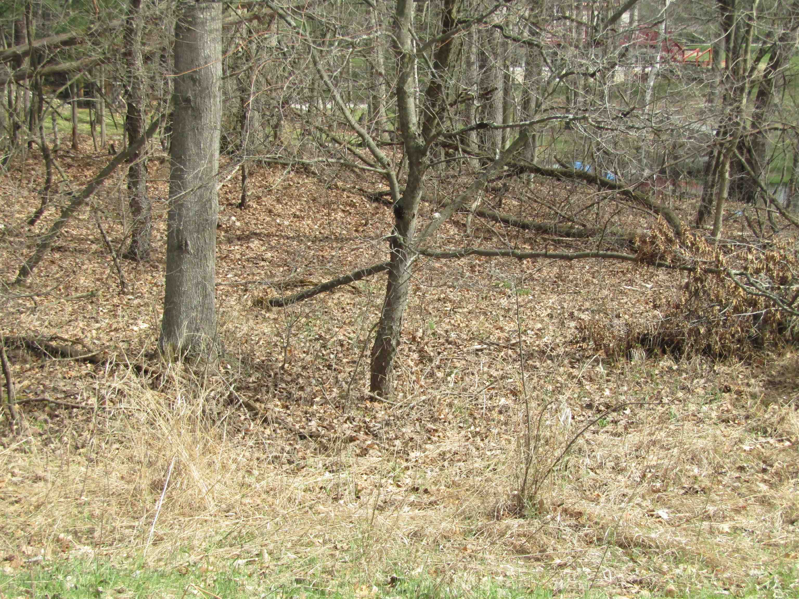 VL_173 E Caribou Trail