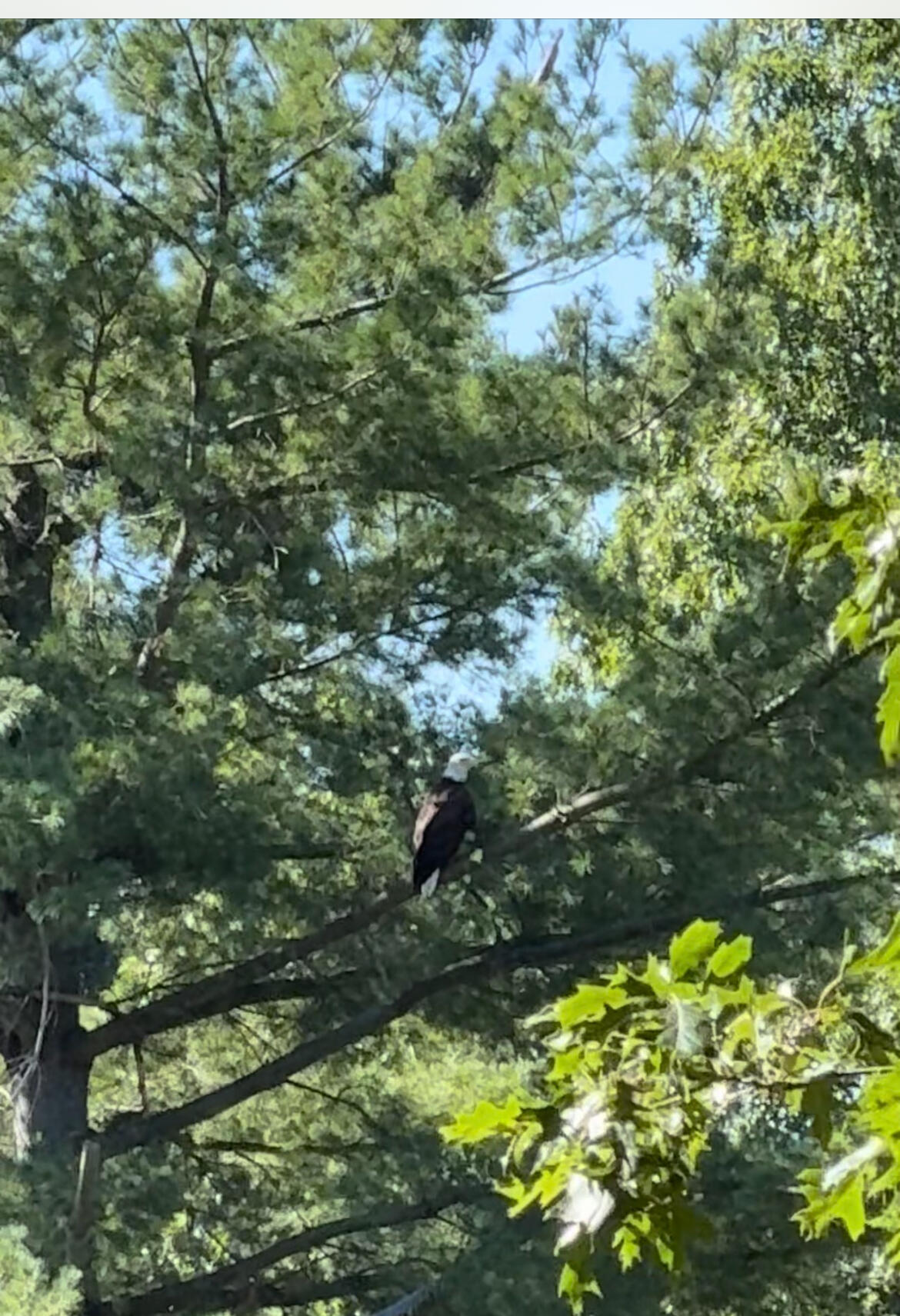 5472 S Meridian Road