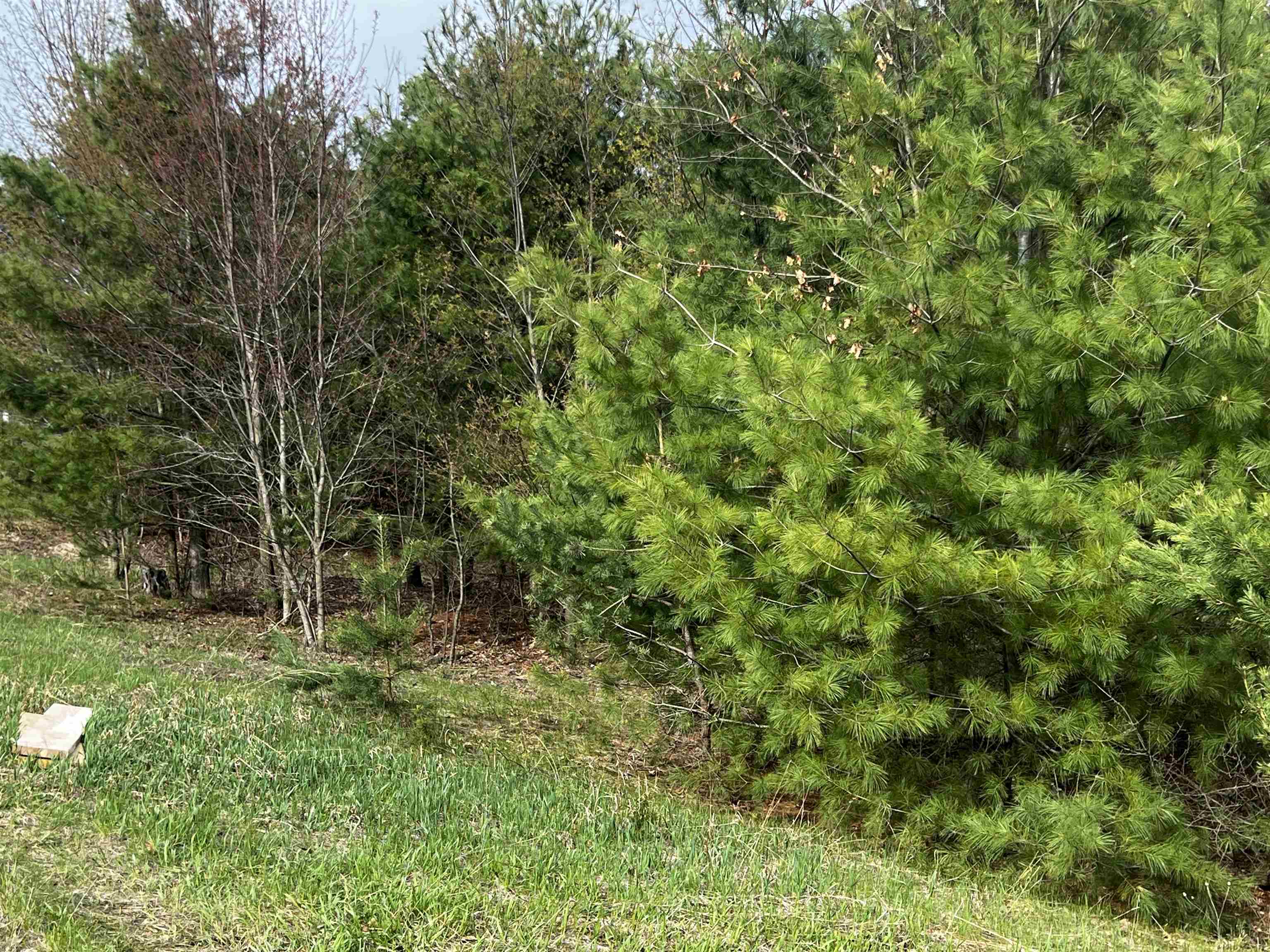 Lot 19 Cushman Court