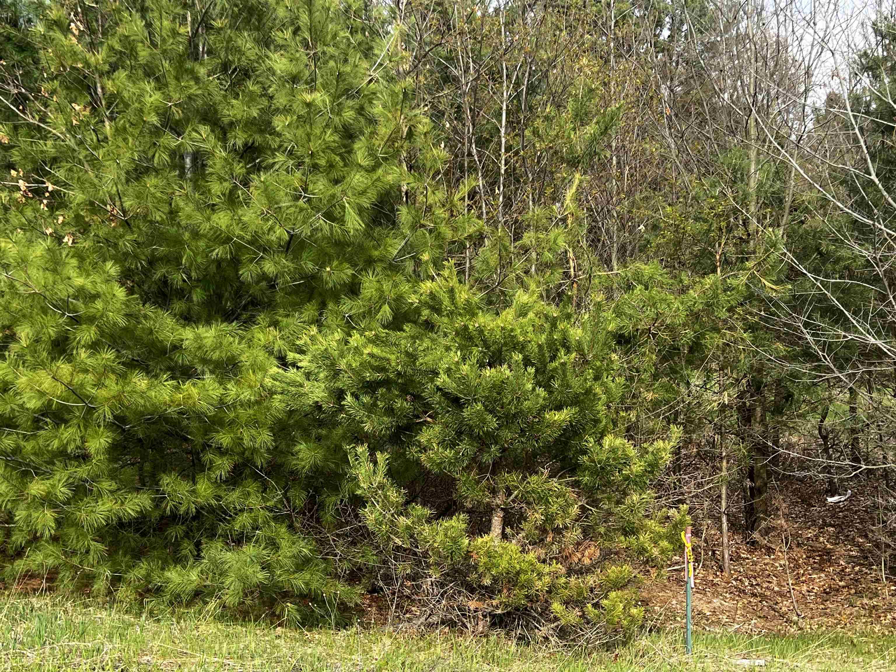 Lot 19 Cushman Court