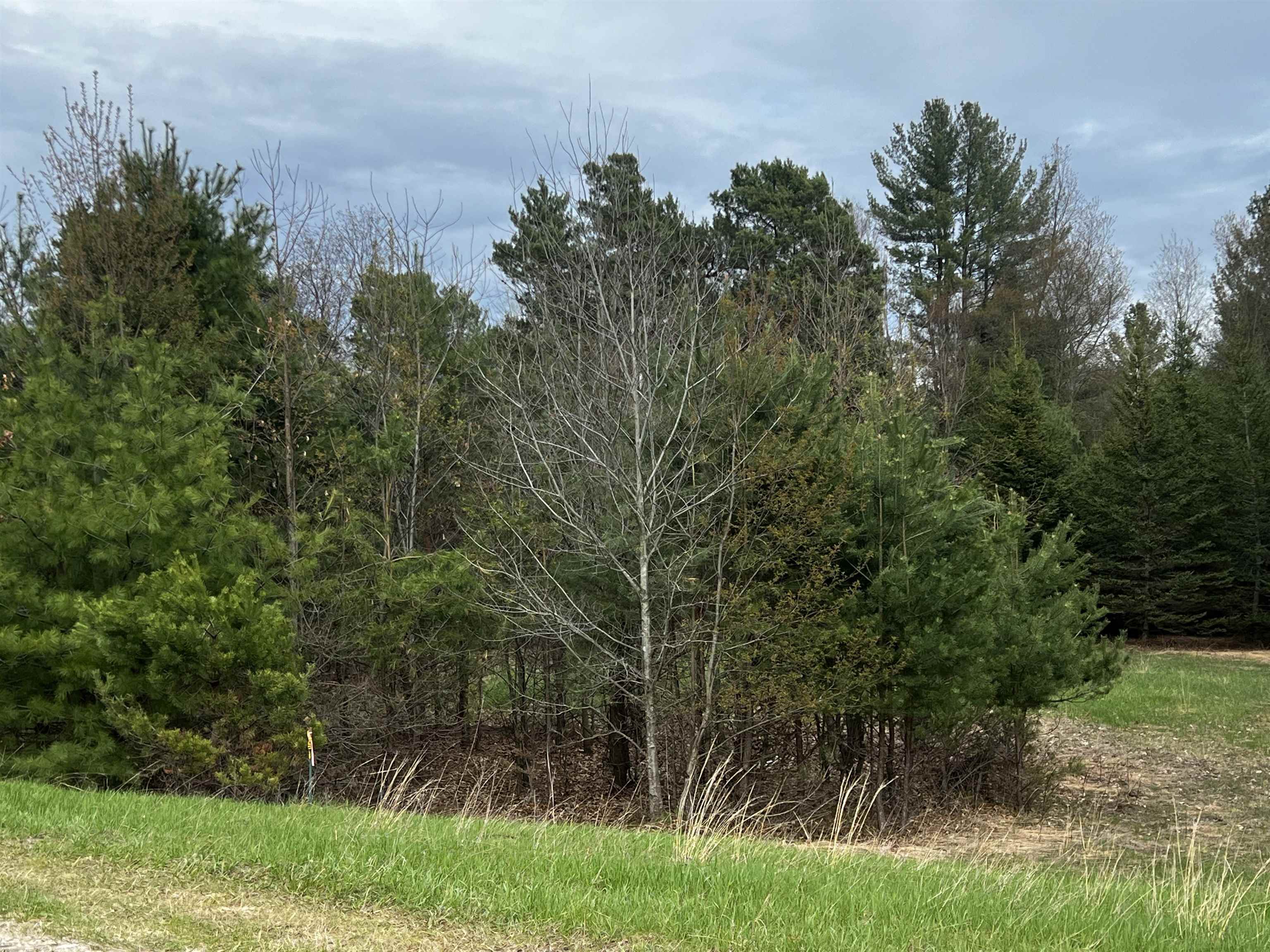Lot 19 Cushman Court