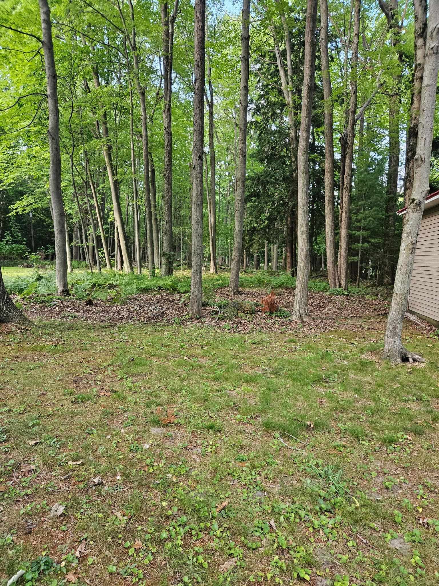 32 Deer Run