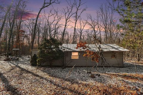 810 3 Mile Road Wilcox Township MI 49349