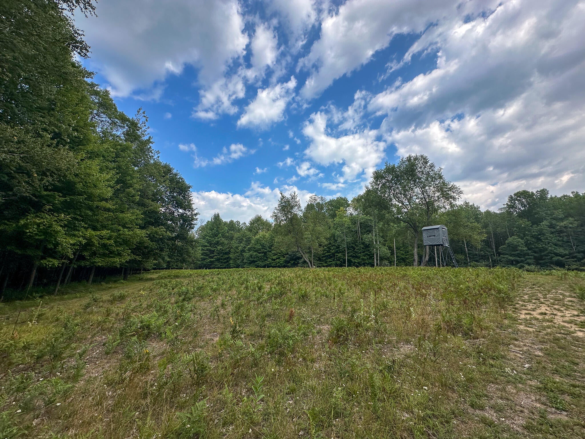 10013 E Beal City Road