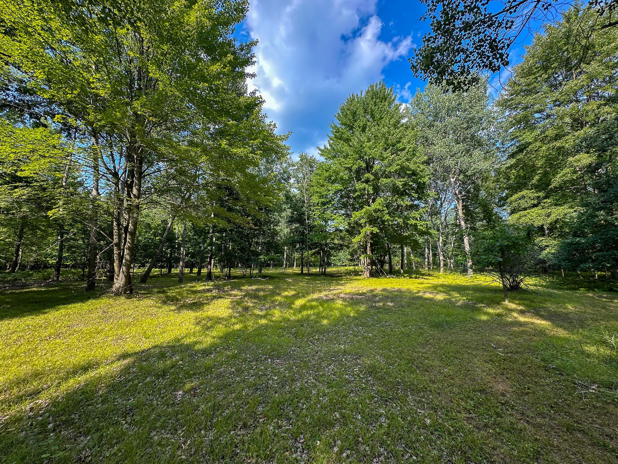 10013 E Beal City Road
