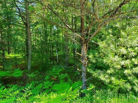 0 Hillside Drive Moffatt Township MI 48610