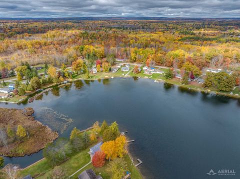 Tiny photo for 8483 Lakeview, Plainfield Township, MI 48739 (MLS # 77080066173)