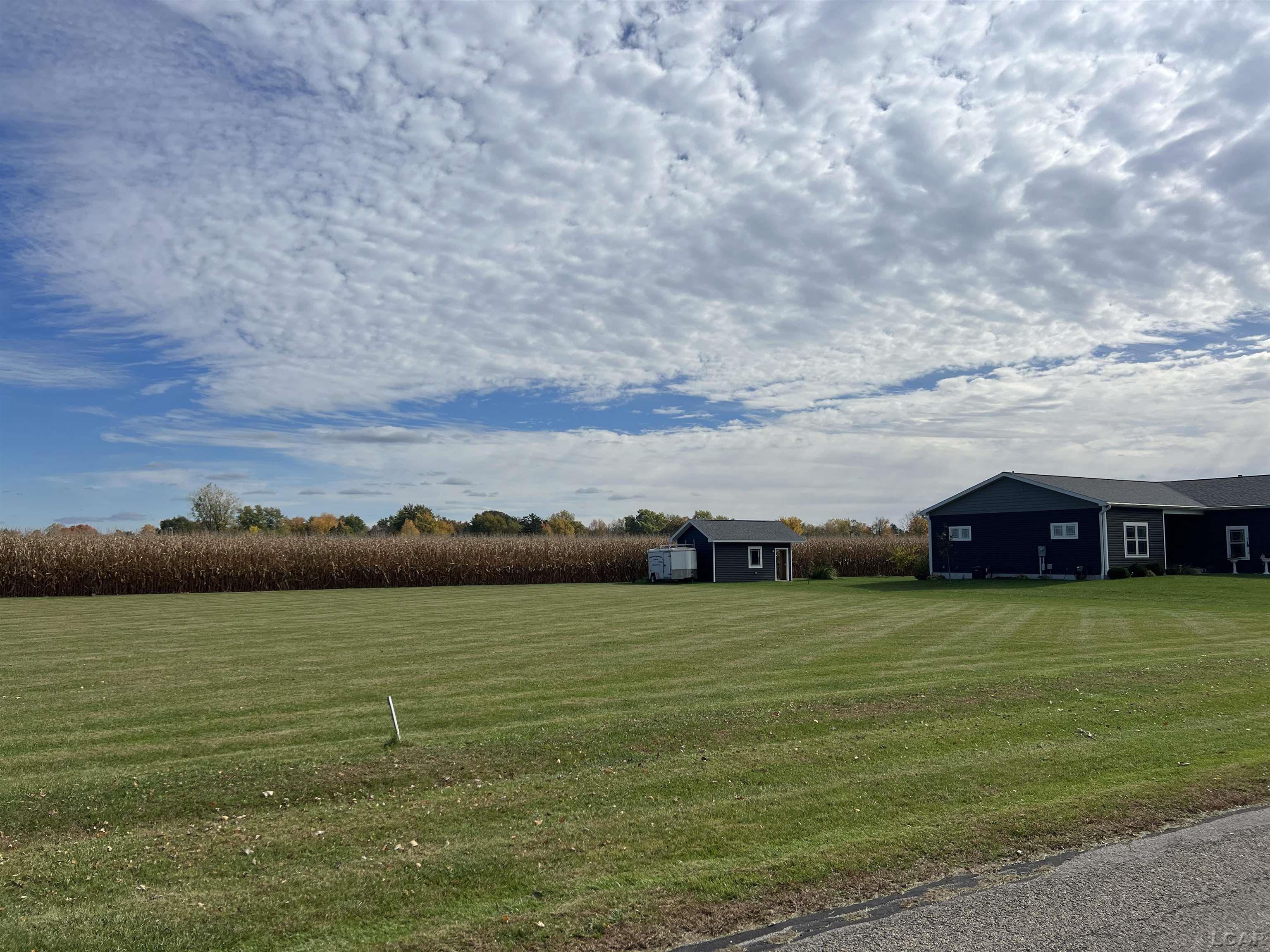 5000 Ricker Hwy Block, Lot 1, Blissfield Highway