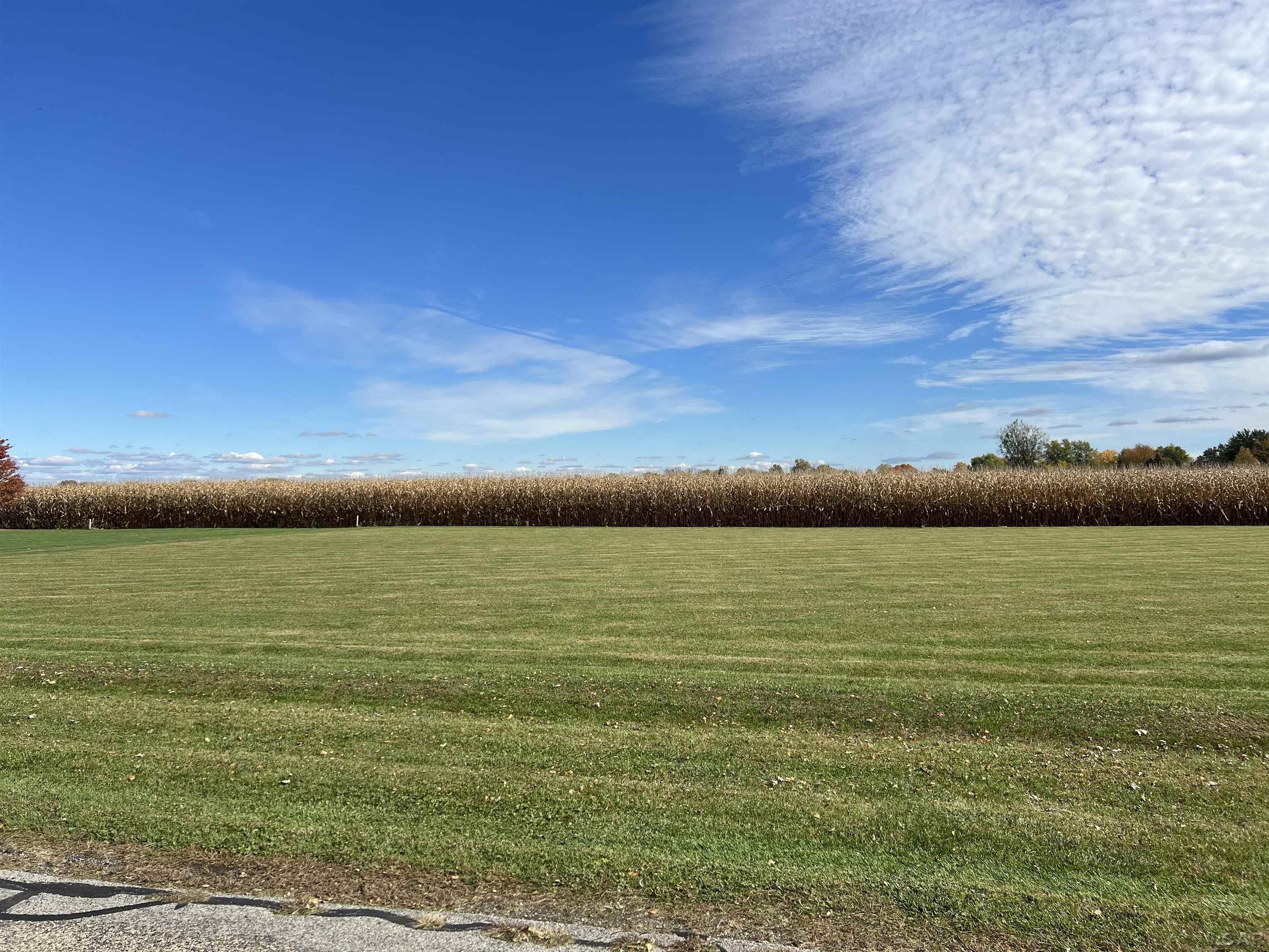 5000 Ricker Hwy Block, Lot 1, Blissfield Highway