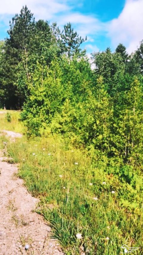 0000 grace harbor Road Bearinger Township MI 49765