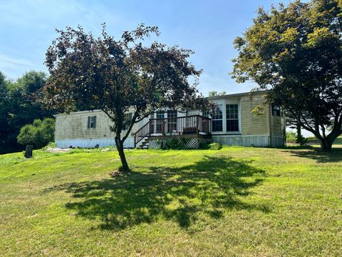 13639 Dutch Settlement Road Newberg Township MI 49067