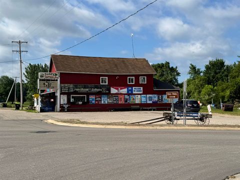 8990 E Pere Marquette Wise Township MI 48617