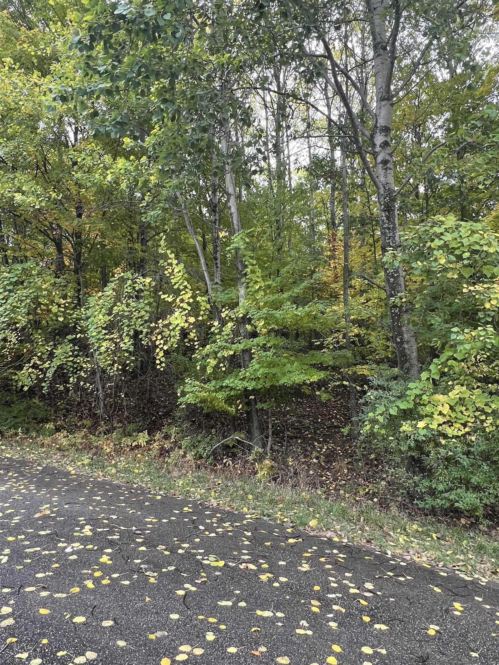 Lot 77 Valley View Court