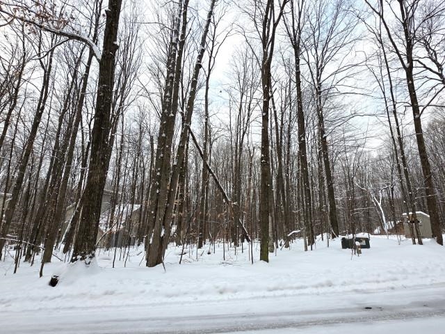 45 Kliffendorf Drive