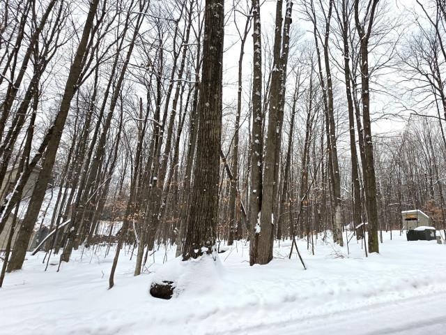 45 Kliffendorf Drive