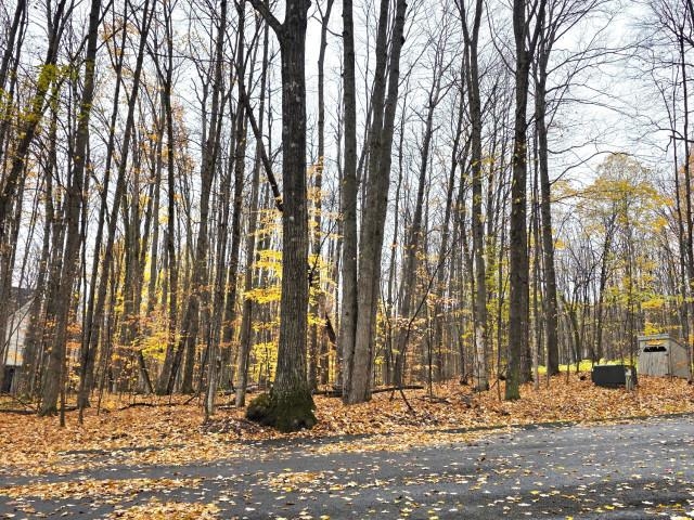 45 Kliffendorf Drive