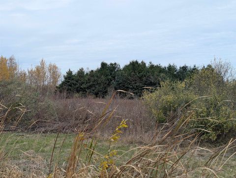 N/A Manor Road Au Gres Township MI 48703