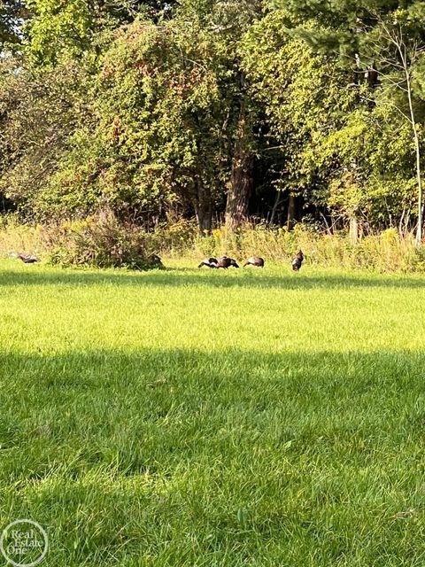 0 Harrington (Dot St.) Road Croswell City MI 48422