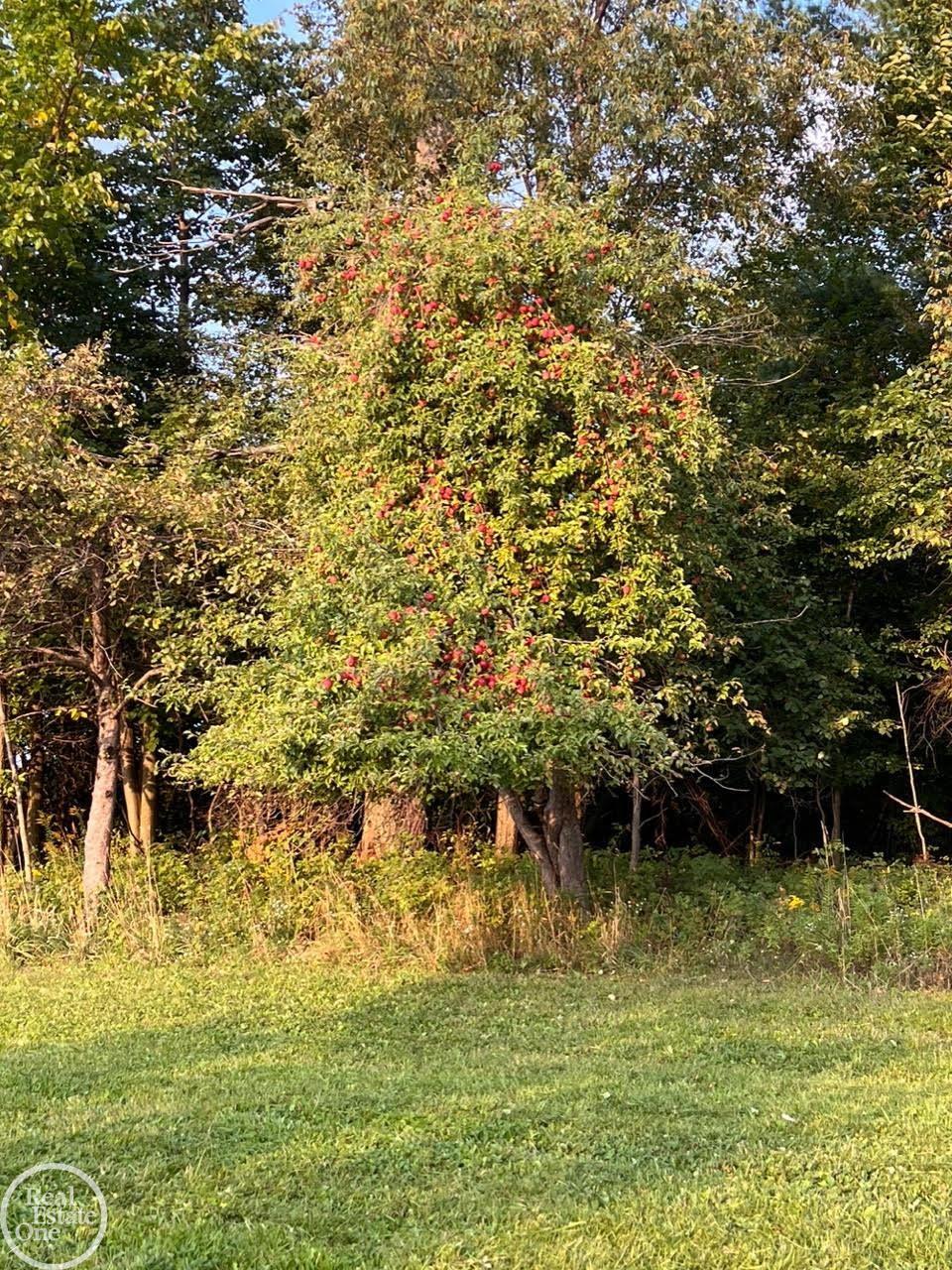 0 Harrington (Dot St.) Road