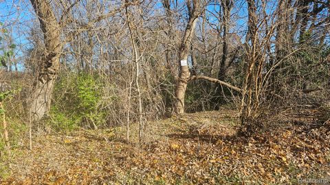 000 Hillpoint Drive Hamburg Township MI 48116