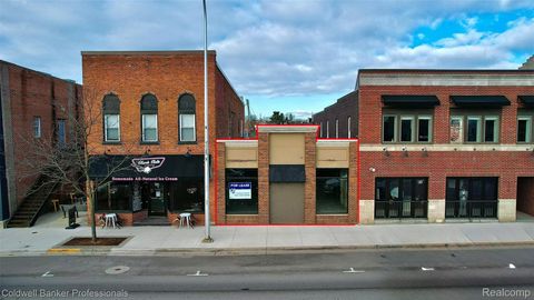 118 E Grand River Avenue Brighton City MI 48116