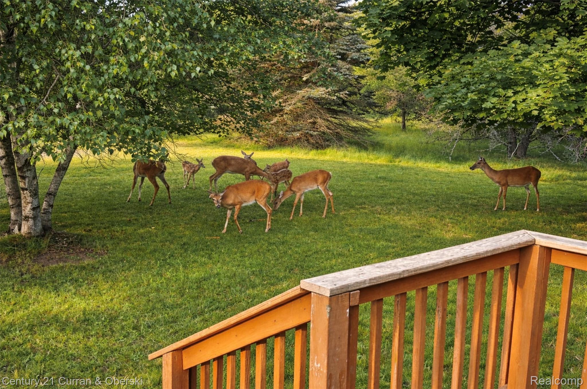 3839 W Pinewood Drive