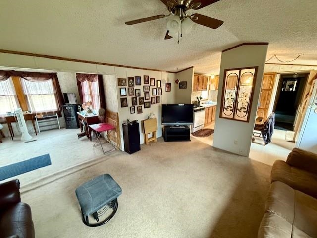 2888 Timberlane Road