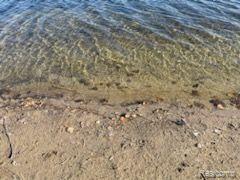 Oxford Village, Michigan 48371, United States, ,Land,Active,38957