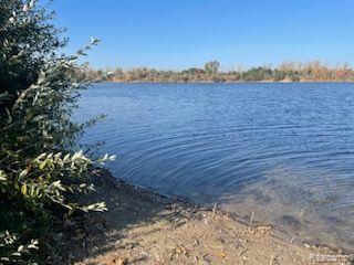 Oxford Village, Michigan 48371, United States, ,Land,Active,38957