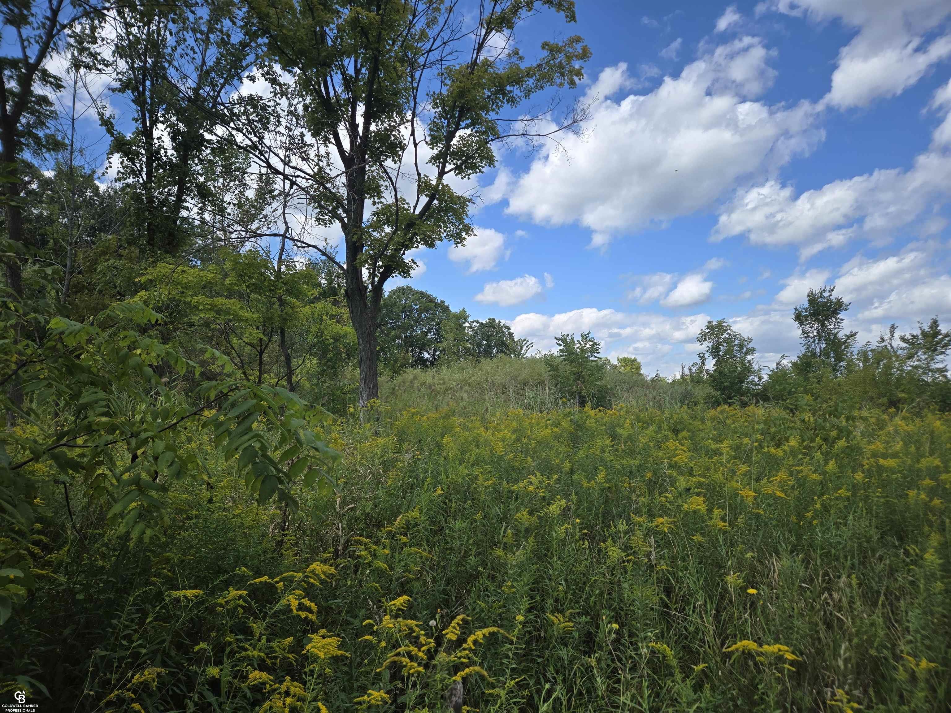 14296 Tubspring VL Road